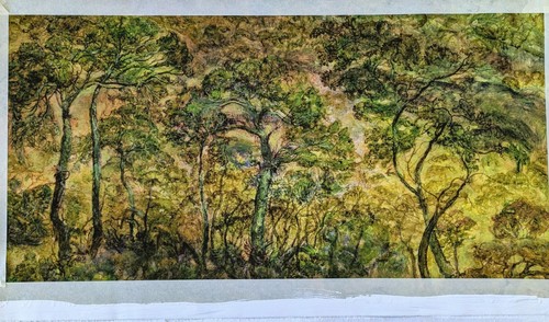 Tropischer wald - wald, (yunga)