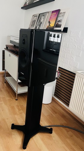 Dynaudio contour black - contour,
