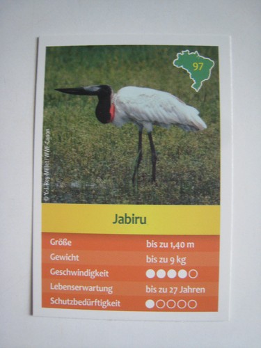 Entdecke brasilien - entdecke,