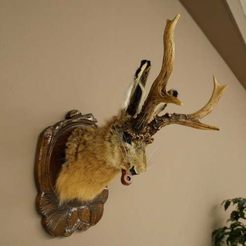 Hasenwolpi hasenbock mit - hasenwolpi,