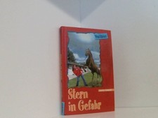 PonyClub Vollblut. Stern in