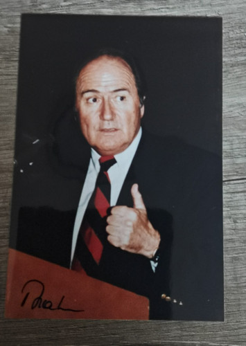 Josef blatter fifa präsident - blatter,