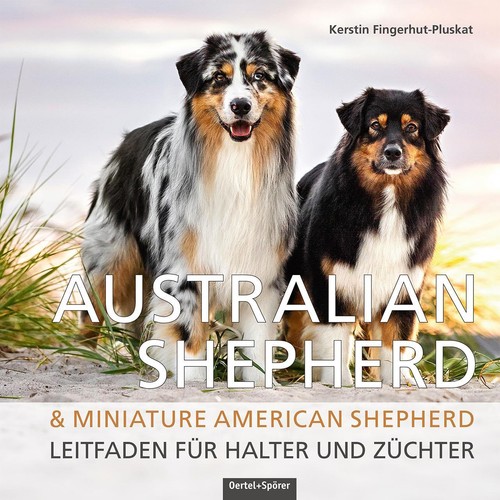 Australian shepherd - shepherd, &