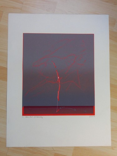 Farbserigraphie erhardt hans - farbserigraphie,, erhardt,