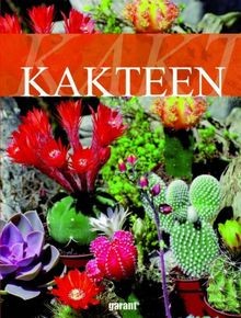 Kakteen von buch zustand - kakteen,