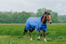 Pferde outdoordecke weidedecke - pferde,