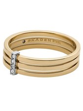 Skagen SKJ1672998503 Damen