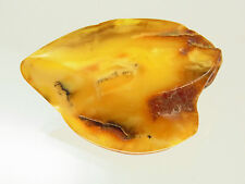 Butterscotch Egg Yolk Amber