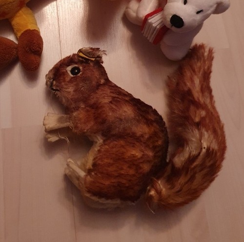 Steiff kuscheltier - steiff,