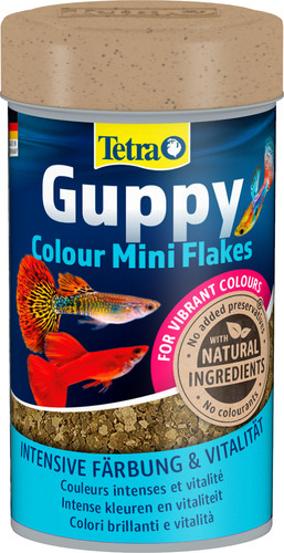 Tetra guppy colour - tetra,