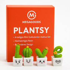Deko Sukkulenten Set