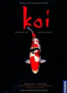 Koi juwelen im gartenteich - juwelen,