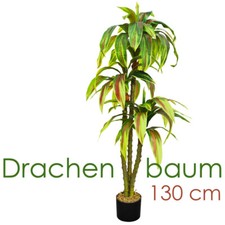 Drachenbaum kunstpflanze - drachenbaum,