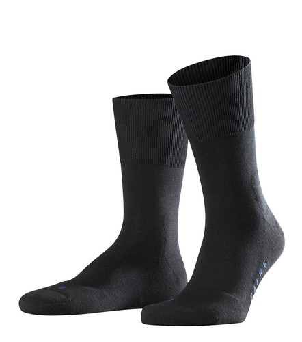 Falke run ergo - ergo, und
