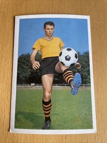 Bergmann 1965 53 - bergmann, geisler