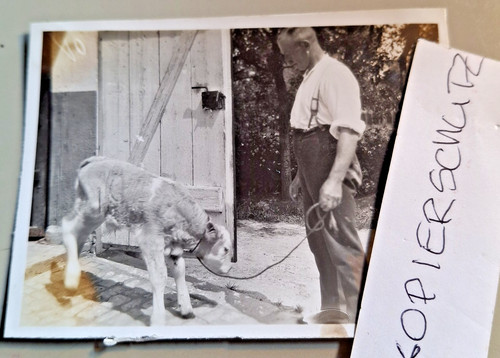 Altes foto vintage - altes,