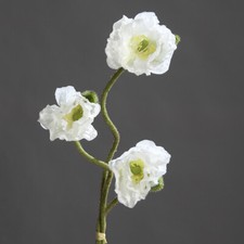 Mohnbund mit 3 Mohnzweigen