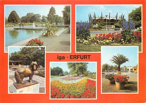 Erfurt iga internationale - erfurt,