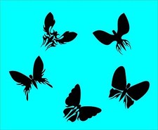 5 x Schmetterling Schmetterlinge Butterfly Wandtattoo Aufkleber Fenster AN1658