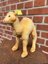 Original Steiff Dromedar von