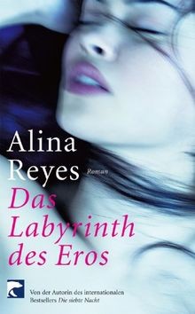 Das labyrinth des - das, roman