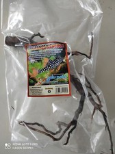 Filigranes kienholz gr.0