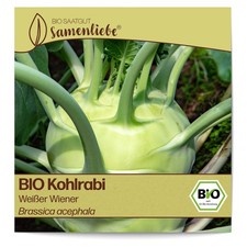BIO Kohlrabi Samen alte Sorte Weißer Wiener 200 Samen samenfestes Gemüse Saatgut