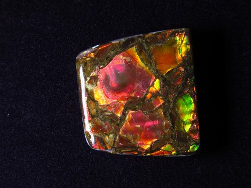 Ammolith 0 carat - ,