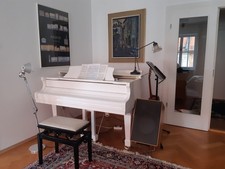 Flügel Marke Wendl & Lung, gekauft 2004 bei Piano Barthel Ingolstadt