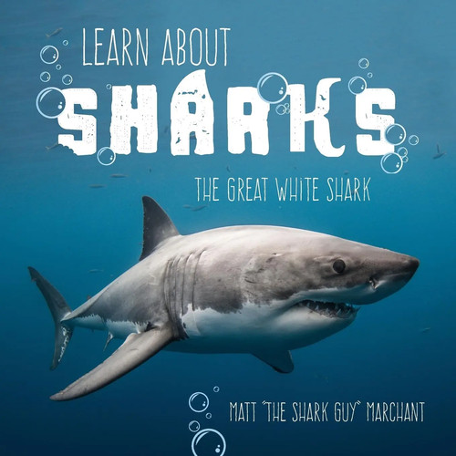 Learn about sharks the - sharks,
