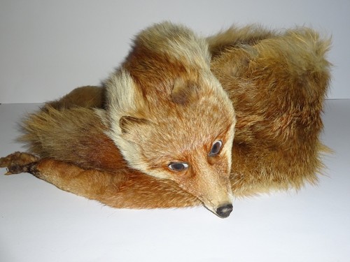 Pelzkragen rotfuchs stola - rotfuchs,