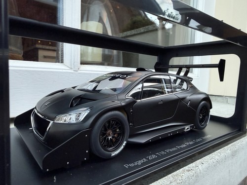 Peugeot 208 t16 pikes - 1:18,