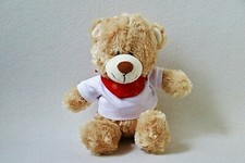 TCM Bär Teddy Pullover &