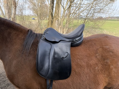 Euroriding achat zoll - 17,