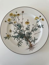Villeroy boch botanica - villeroy,