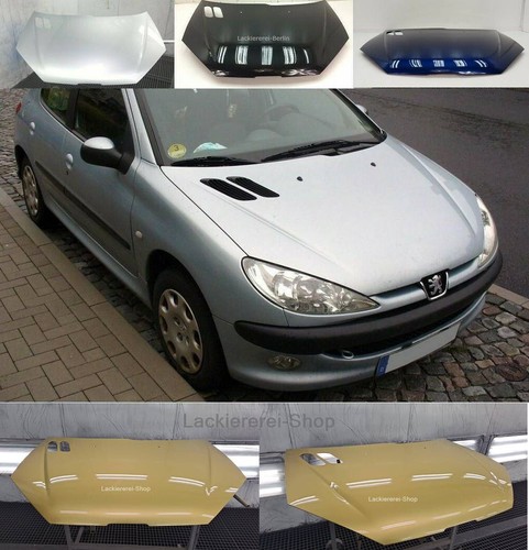 Motorhaube lackiert - motorhaube, in