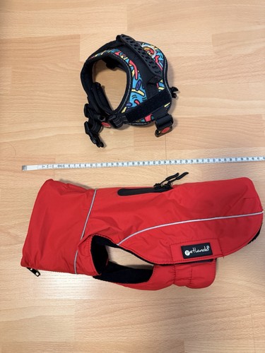 Hund set anti - set, s