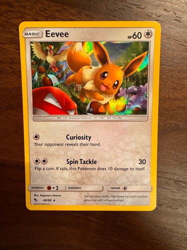 Evoli eevee holo hidden - 48/68,