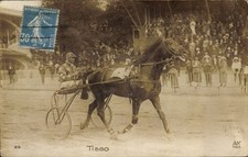 Foto Ak Trabrennen, Rennpferd Tiego, Sulky, Jockey,... - 4802260