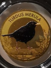 Goldmünze Singvögel "Amsel"