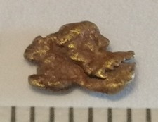 Goldnugget Barren Gold