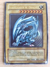 Blauäugiger w. Drache