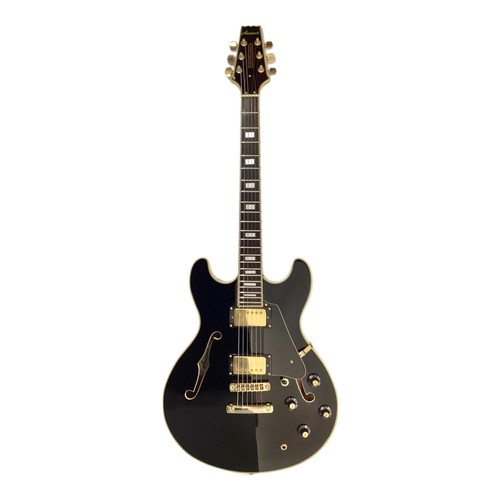 Aria pro e gitarre - pro, ii