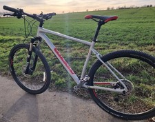 Limited marin bobcat - limited, trail