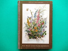 Adolf Heilborn: Was Wald und