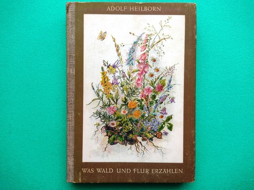 Adolf heilborn was - wald, und