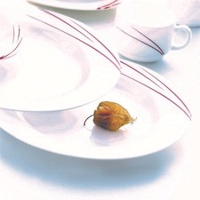 Arcopal Geschirrserie