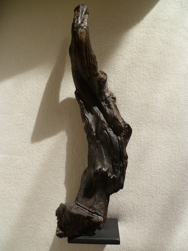 Mooreiche skulptur fossil - mooreiche,