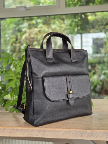 Fossil dunkelbrauner leder - fossil,