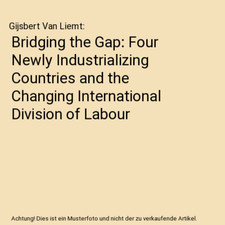 Bridging the Gap: Four Newly Industrializing Countries and the Changing Internat